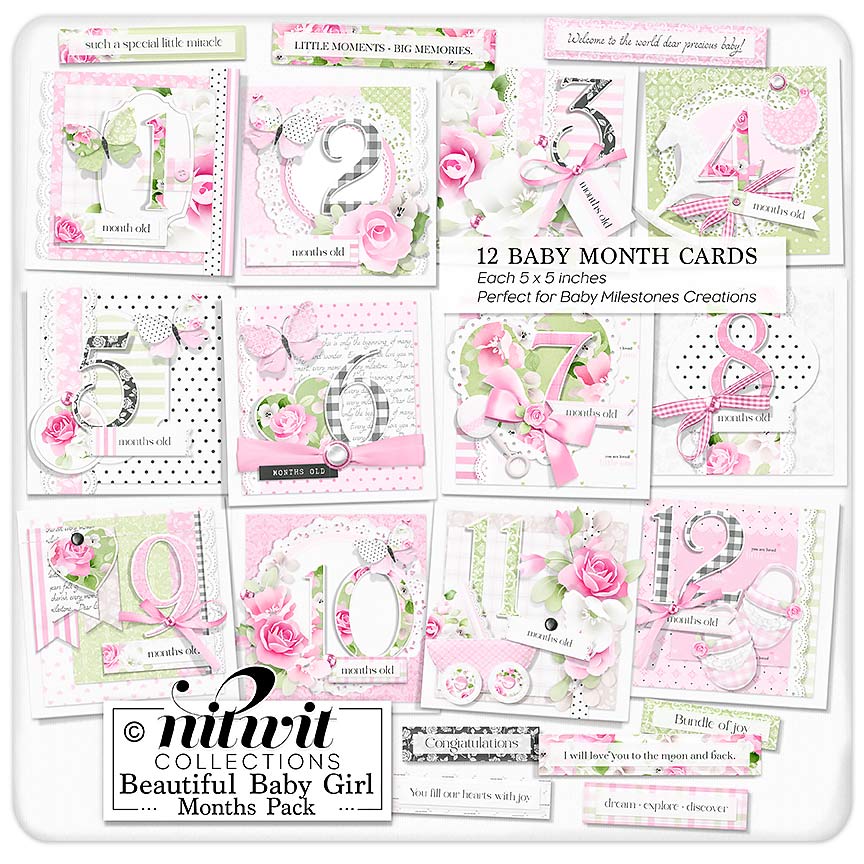 (image for) Lil Bits - Beautiful Baby Girl Months