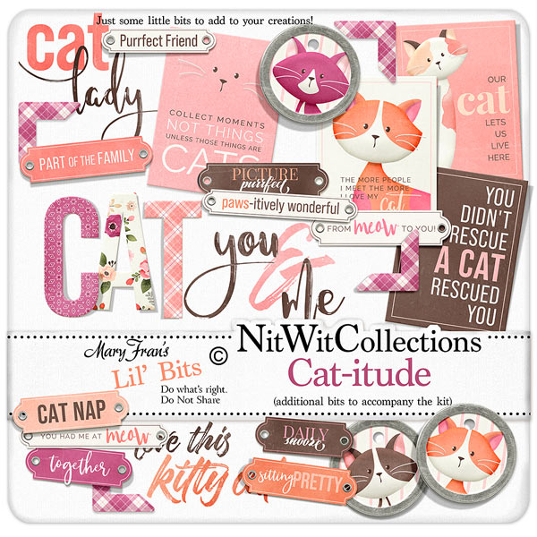 (image for) Lil Bits - Cat-itude