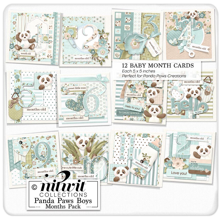 (image for) Lil Bits - Panda Paws Boys Months