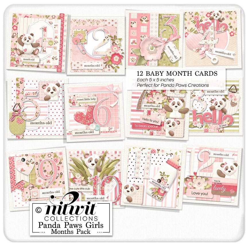 (image for) Lil Bits - Panda Paws Girls Months