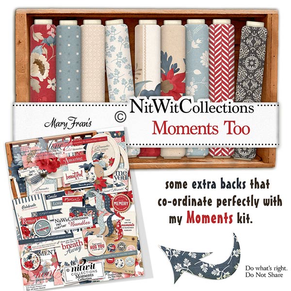 (image for) Moments Too