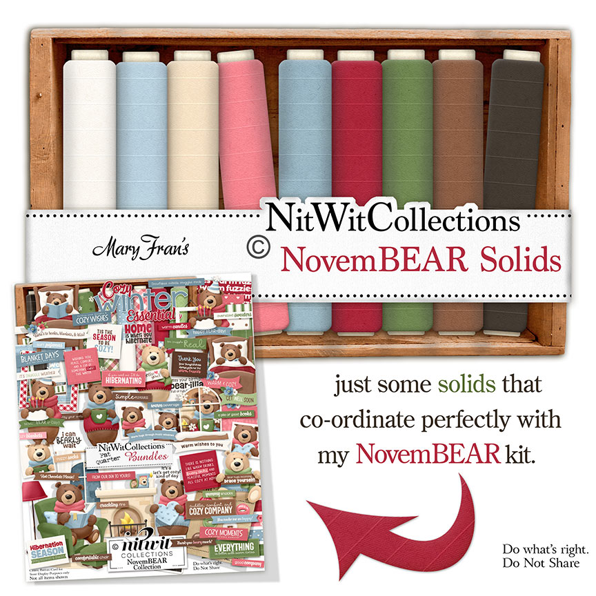 (image for) NovemBEAR Solids