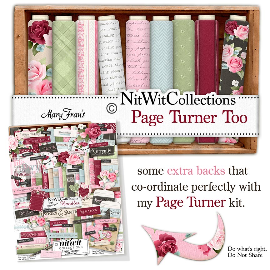 (image for) Page Turner Too