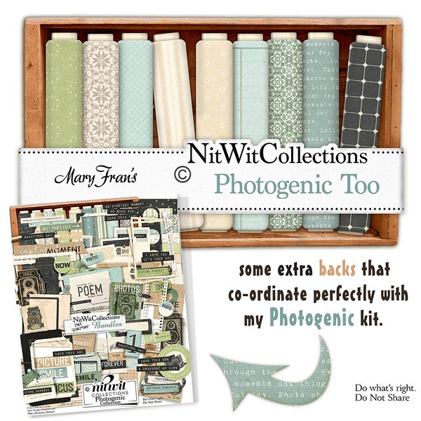 (image for) Photogenic Too
