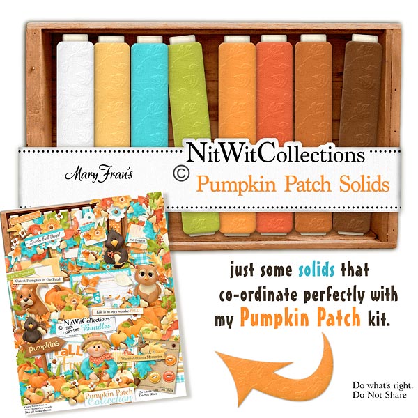 (image for) Pumpkin Patch Solids